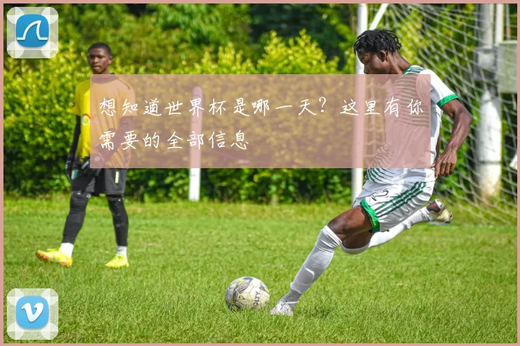 想知道世界杯是哪一天？这里有你需要的全部信息