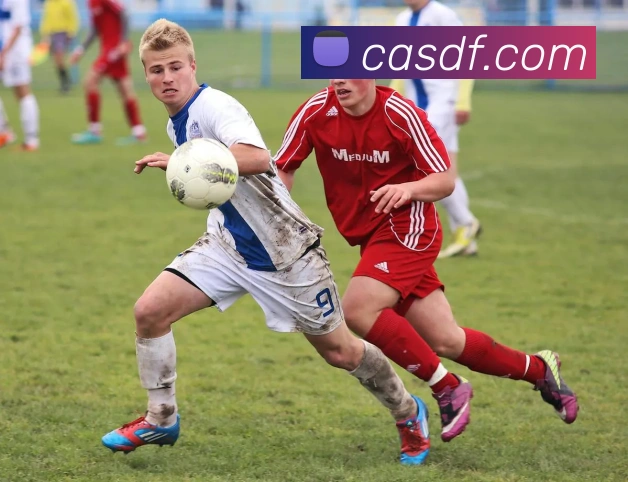 企业概况